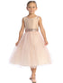 Girls Blush V Back Trim Shantung Sparkle Tulle Flower Girl Dress 2T-10 front SophiasStyle.com